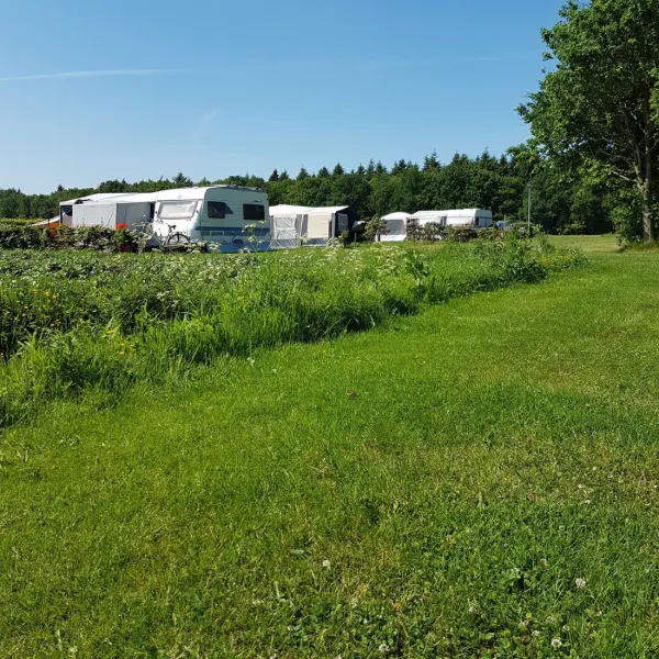 de-hoge-bomen-eeserveen-dnby3