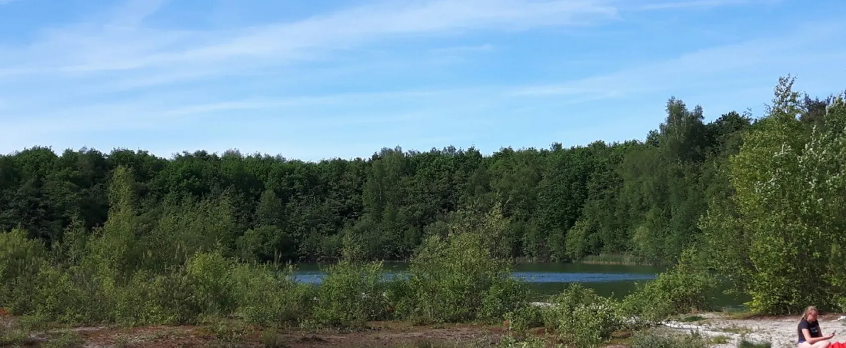 de Hoge Bomen