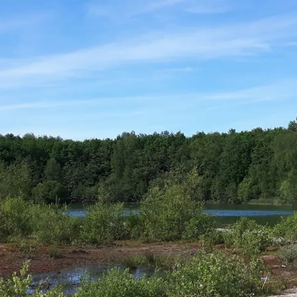 de-hoge-bomen-eeserveen-jb1q2