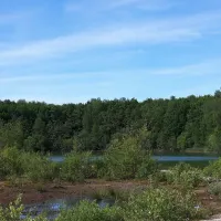 de-hoge-bomen-eeserveen-jb1q2