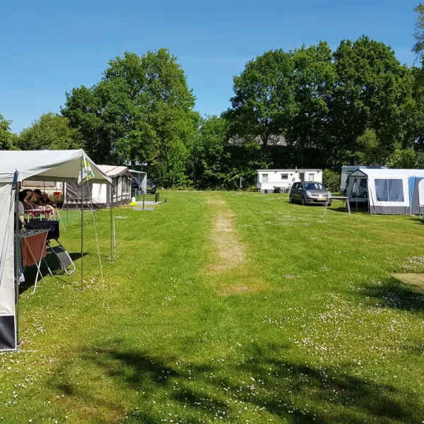 de-hoge-bomen-eeserveen-nviki