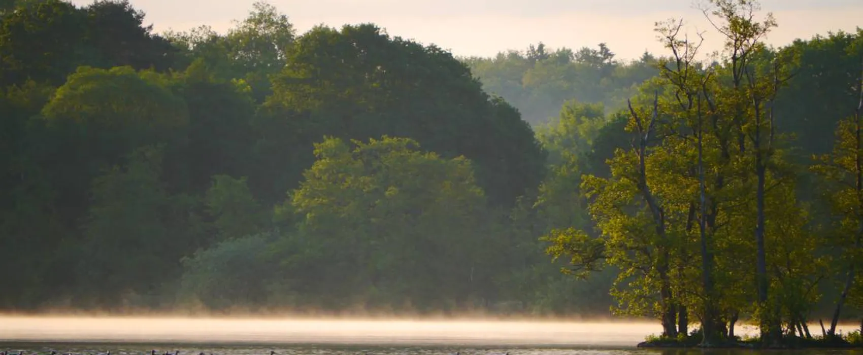 Naturcamping am Stocksee