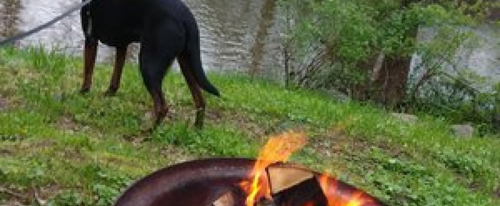 Red Run Campground