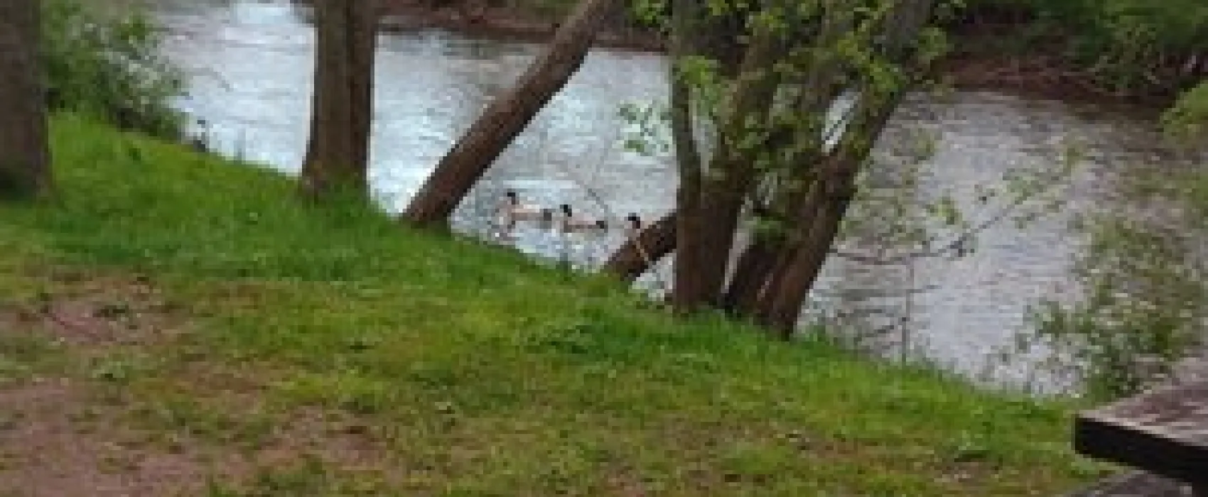 Red Run Campground
