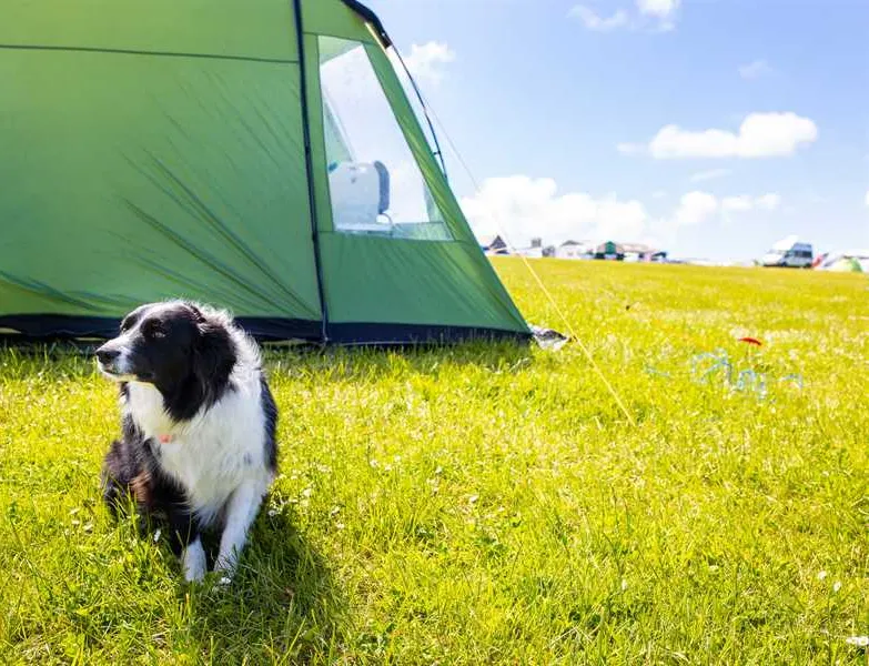 celtic-camping-st-david39s-aifli