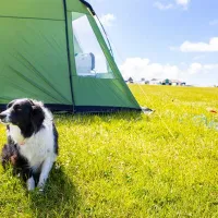 celtic-camping-st-david39s-aifli