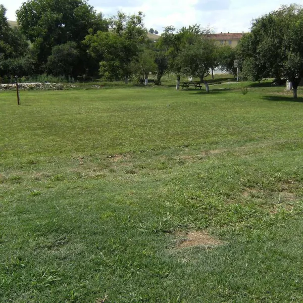 camping-mira-teliucu-inferior-eedxd
