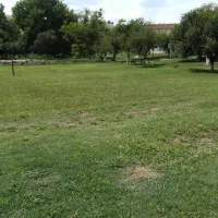 camping-mira-teliucu-inferior-eedxd