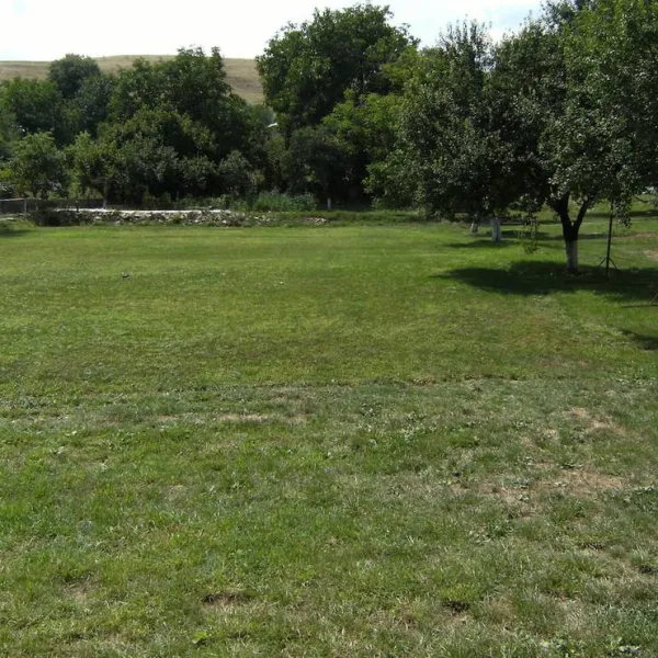 Camping Mira