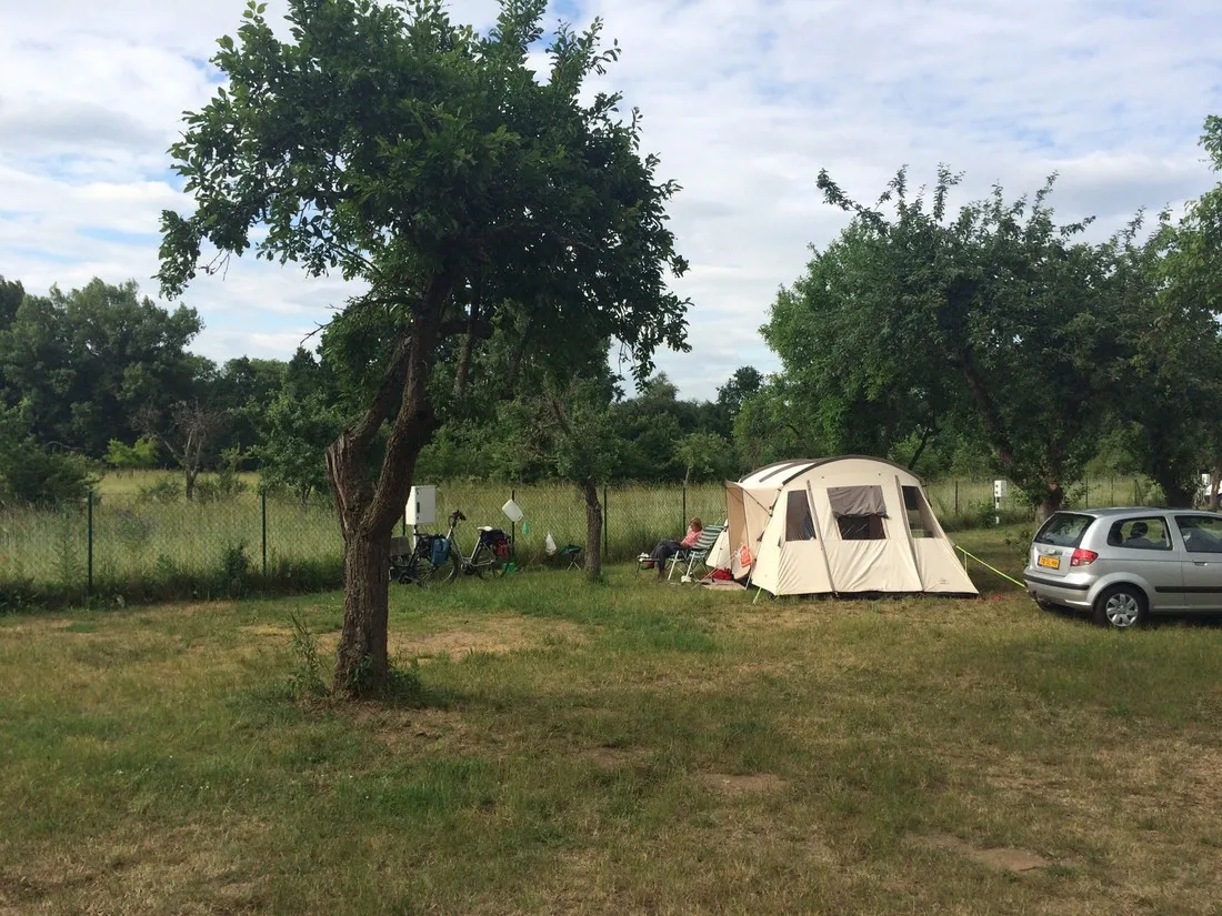 katzenkopf-sommerach-dsjw1
