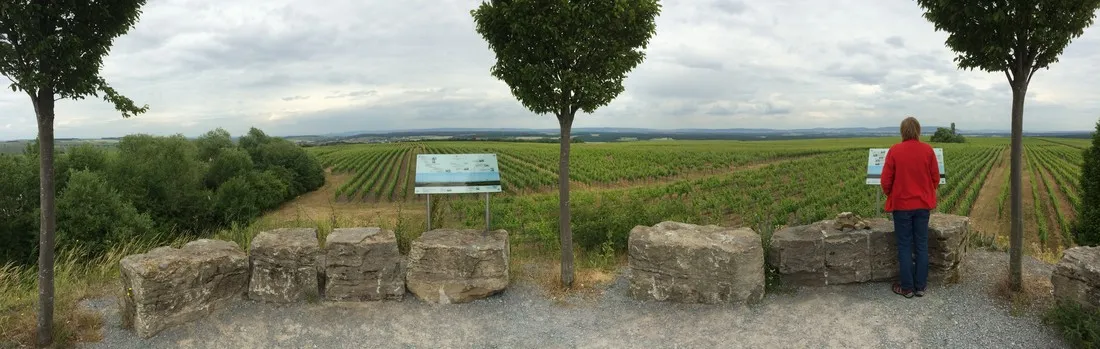 katzenkopf-sommerach-mrpbv
