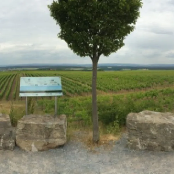 katzenkopf-sommerach-mrpbv