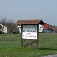 katzenkopf-sommerach-scaip