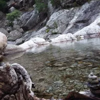 camping-du-caroux-mons-la-trivalle-cdjwt