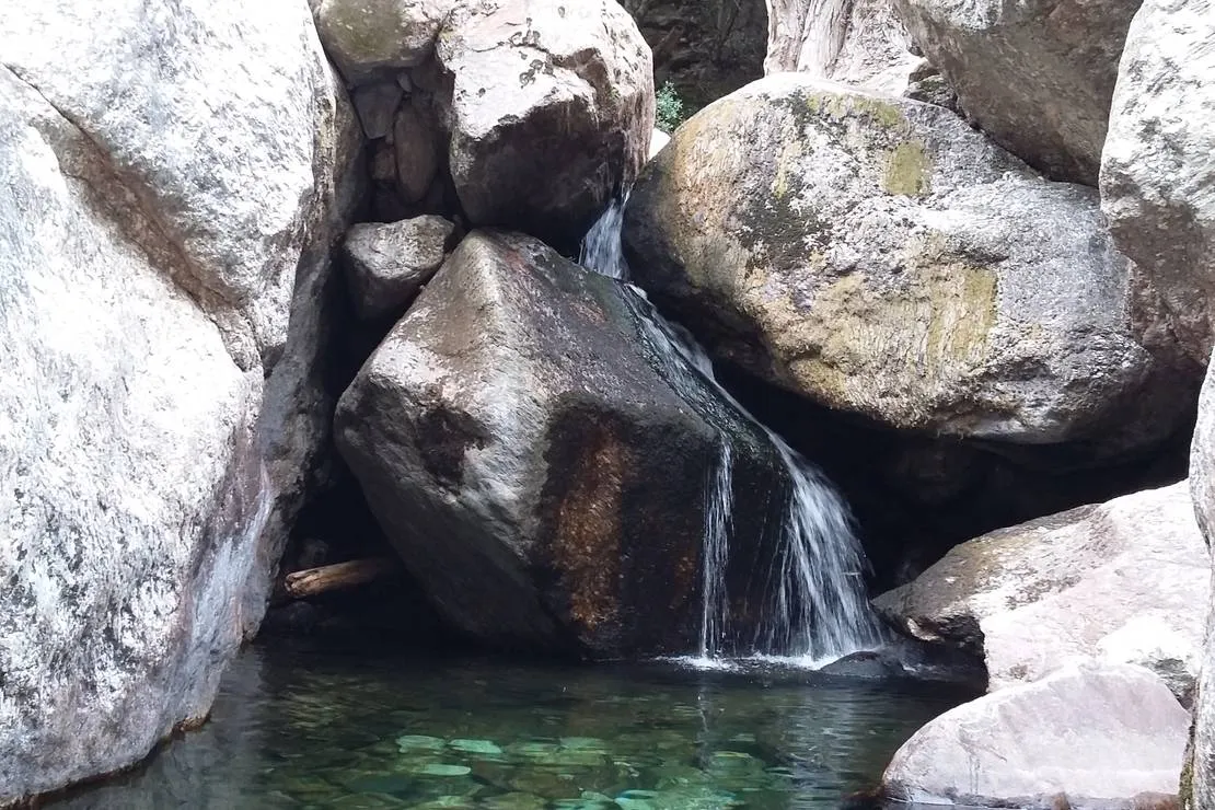 camping-du-caroux-mons-la-trivalle-jrsqo