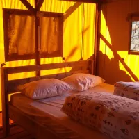 camping-du-caroux-mons-la-trivalle-vokup