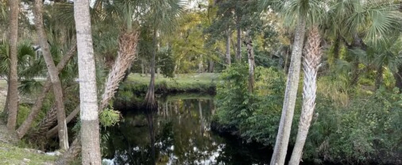 Imperial Bonita Estates