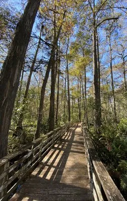 imperial-bonita-estates-bonita-springs-sttfj