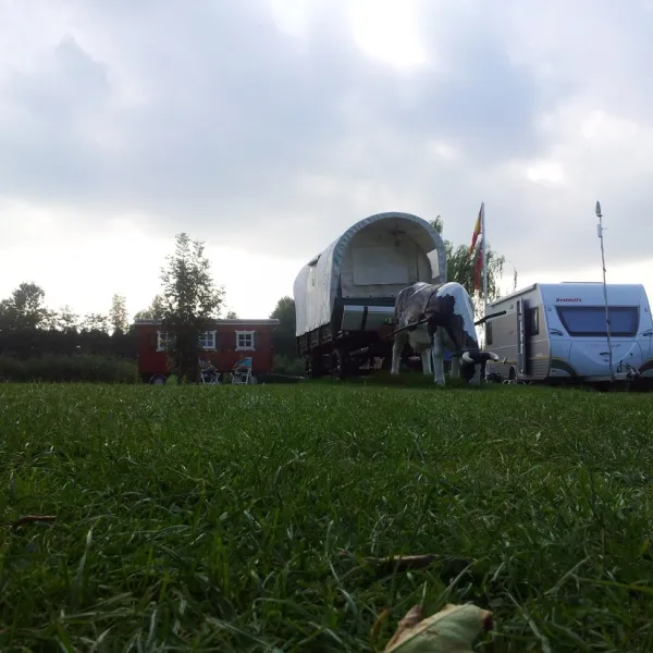 botsholland-waverveen-ar175