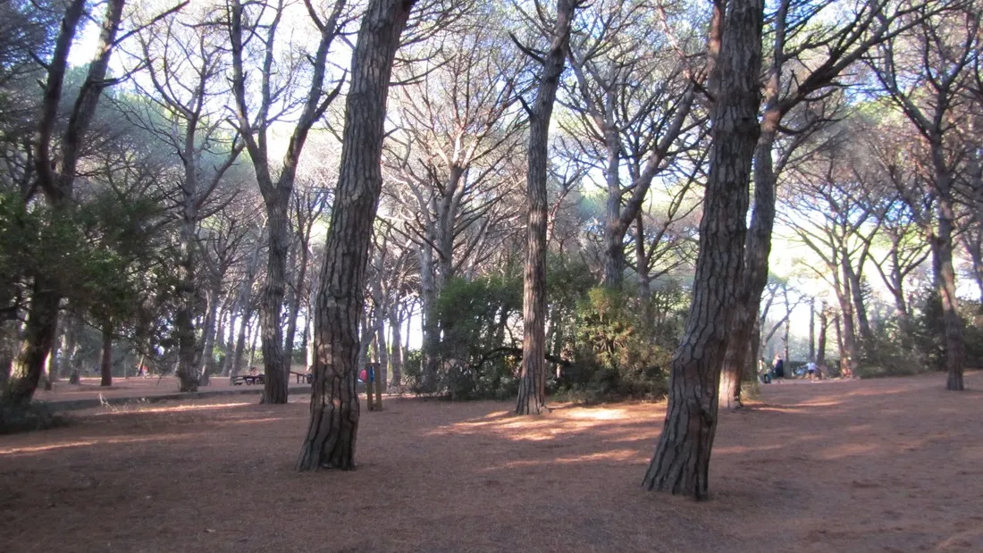 free-time-bibbona-marina-di-bibbona-swqtw