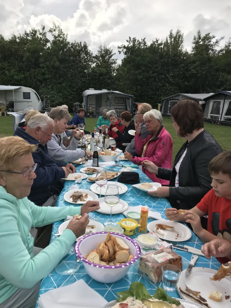 koegras-julianadorp-aan-zee-gogeq