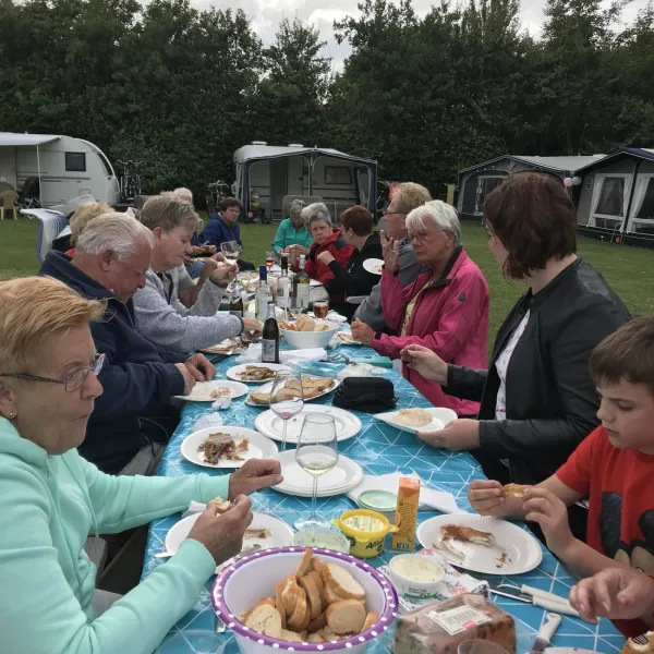 koegras-julianadorp-aan-zee-gogeq
