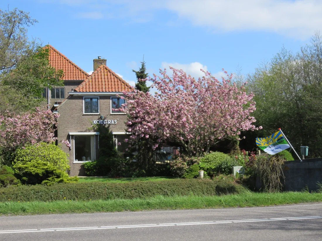 koegras-julianadorp-aan-zee-lavc6