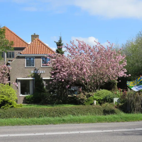 koegras-julianadorp-aan-zee-lavc6