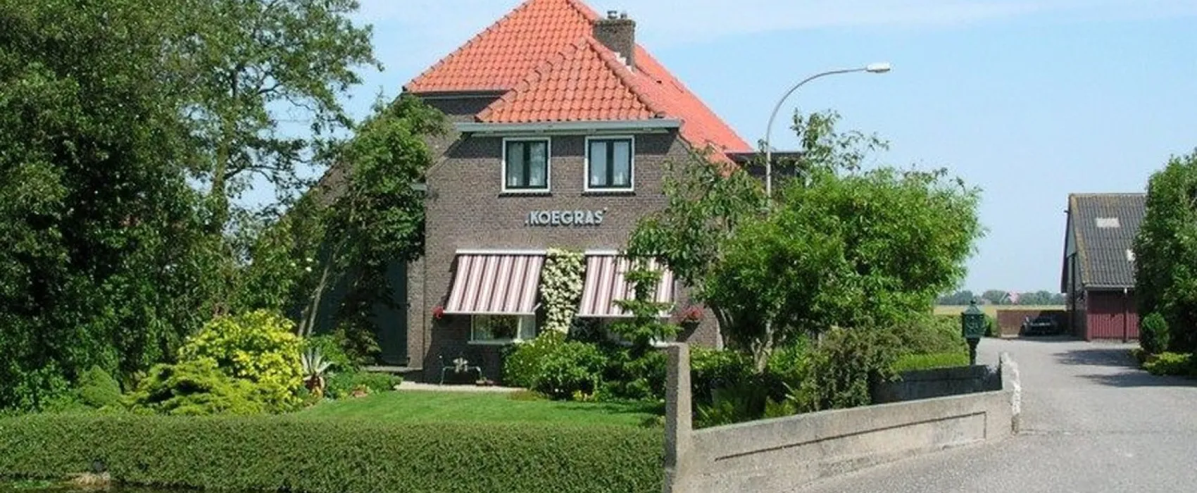 Koegras