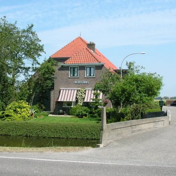 koegras-julianadorp-aan-zee-qg3wo