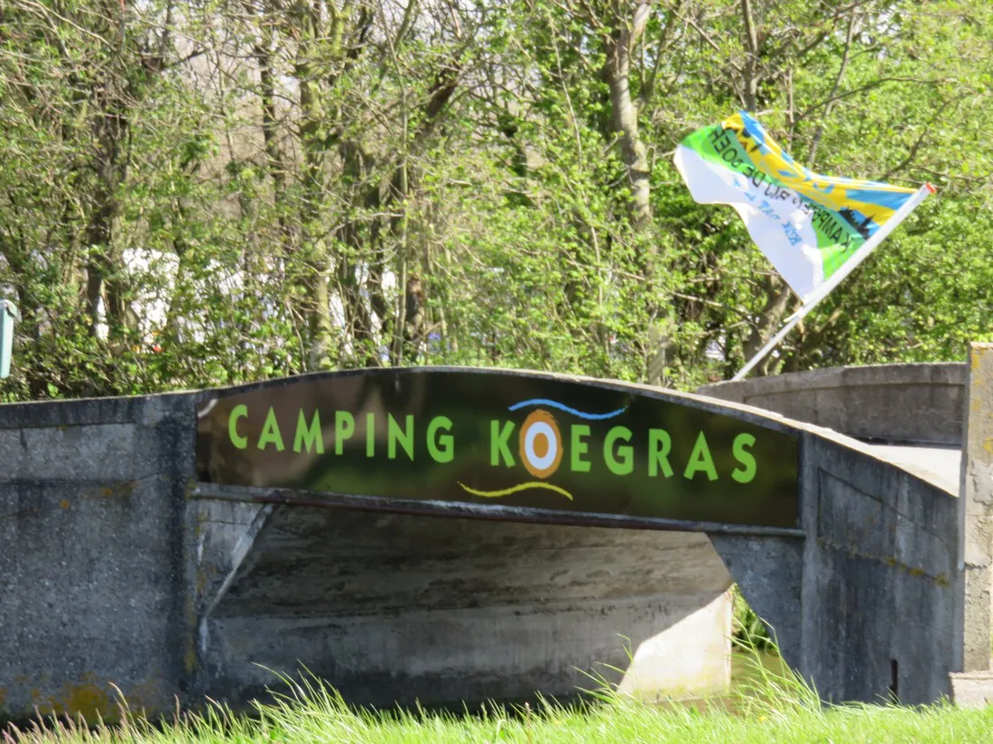koegras-julianadorp-aan-zee-yn6qt