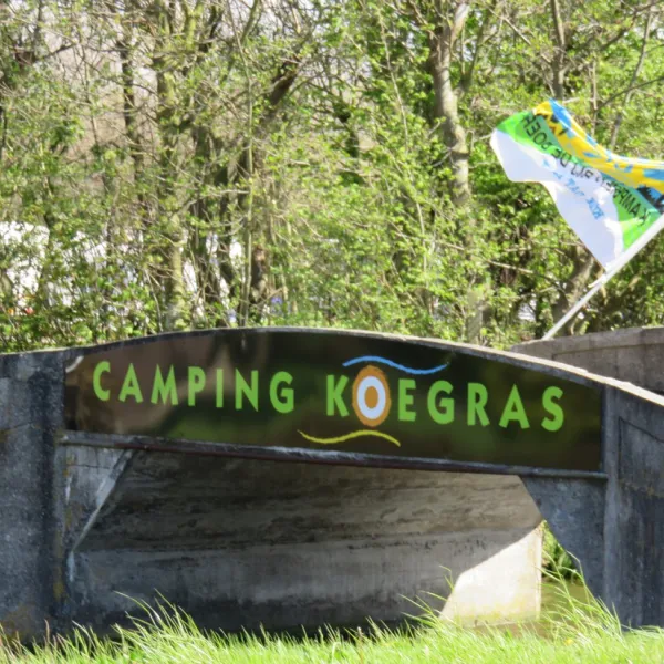 koegras-julianadorp-aan-zee-yn6qt
