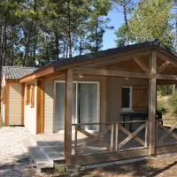 domaine-des-pins-st-hilaire-de-riez-vendee-3zjrx