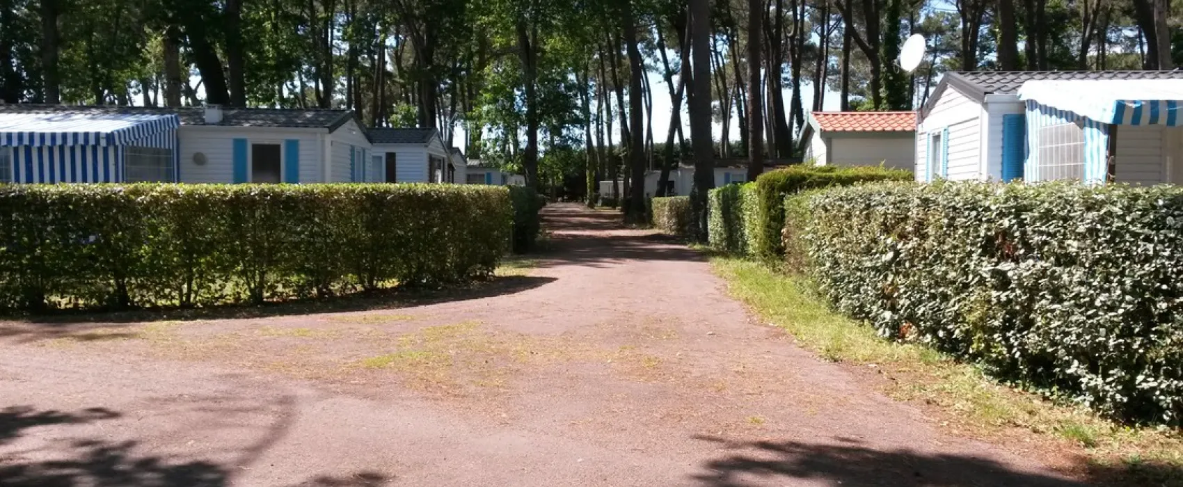 Domaine des Pins