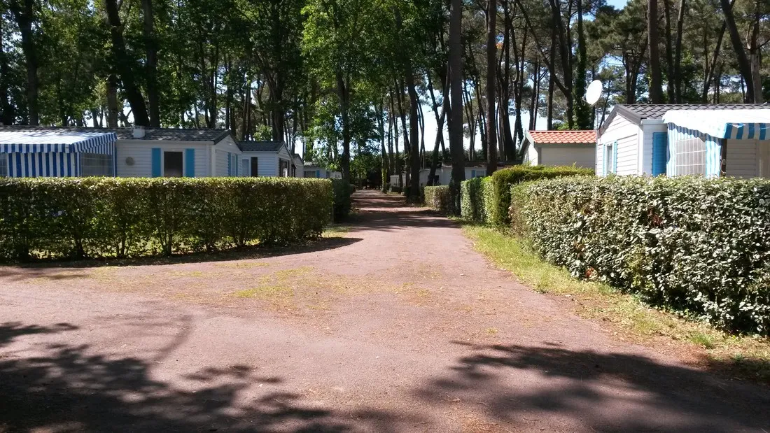 domaine-des-pins-st-hilaire-de-riez-vendee-6jjo8