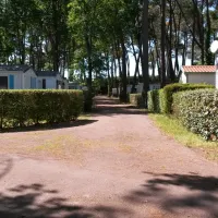 domaine-des-pins-st-hilaire-de-riez-vendee-6jjo8