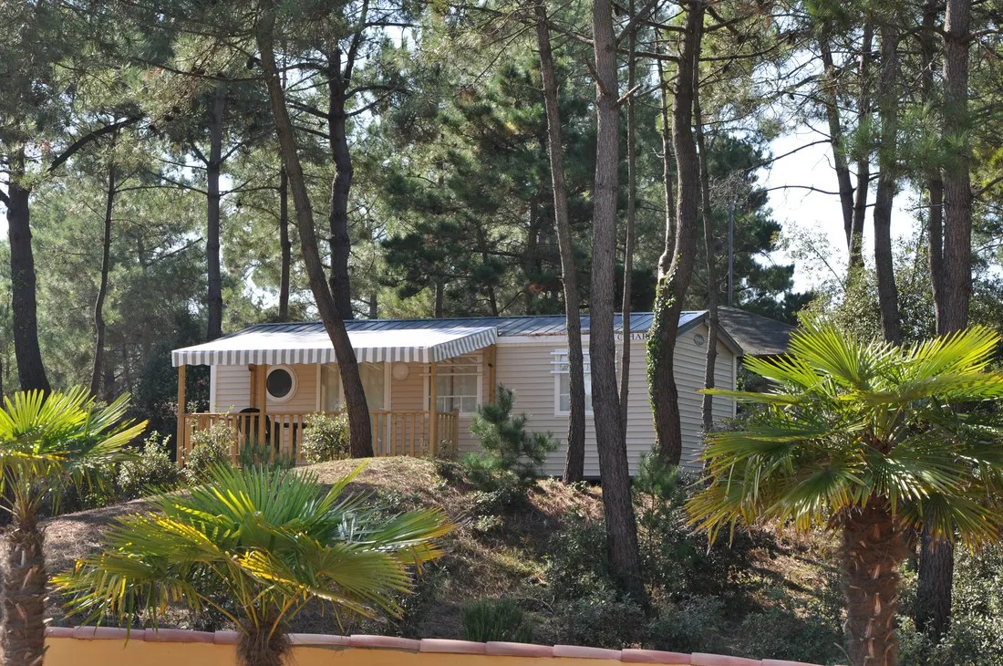 domaine-des-pins-st-hilaire-de-riez-vendee-omhth