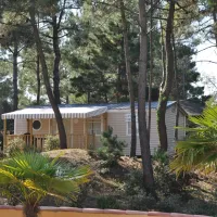 domaine-des-pins-st-hilaire-de-riez-vendee-omhth