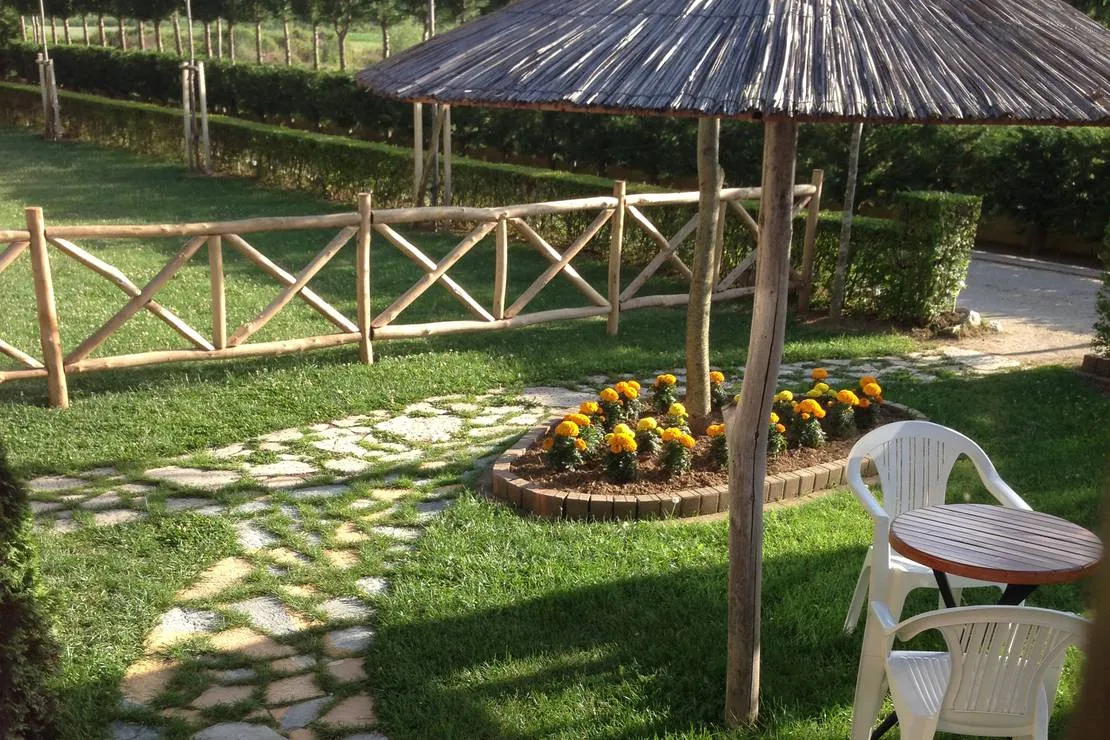 camping-arbi-pogradec-lisbj