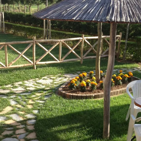 camping-arbi-pogradec-lisbj