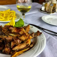 camping-arbi-pogradec-pqjbu