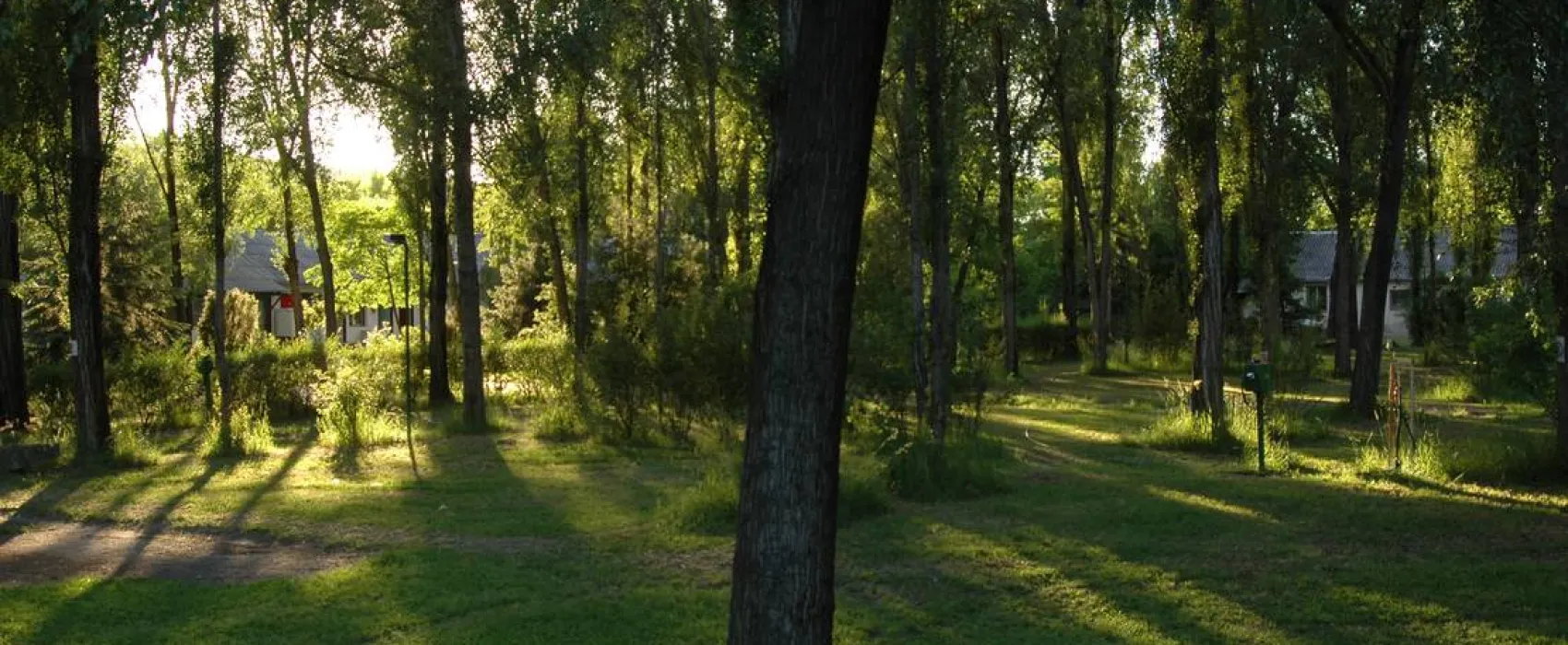 Danube Camping