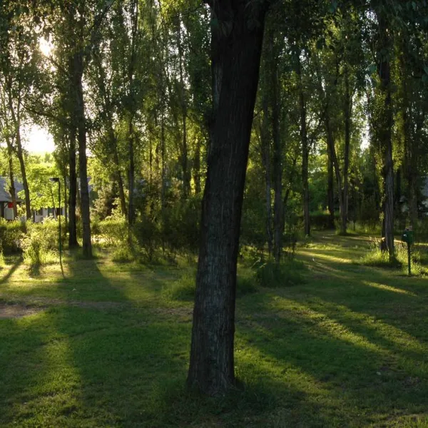 Danube Camping