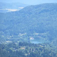 reichmann-reauz-zsrea