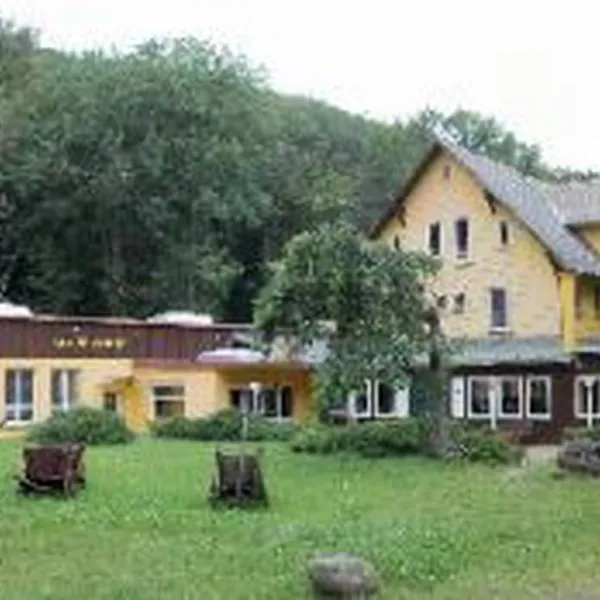 camping-alte-waldmuhle-wernigerode-liec2