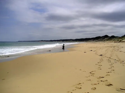 gunnai-beach-campground-7wwxd