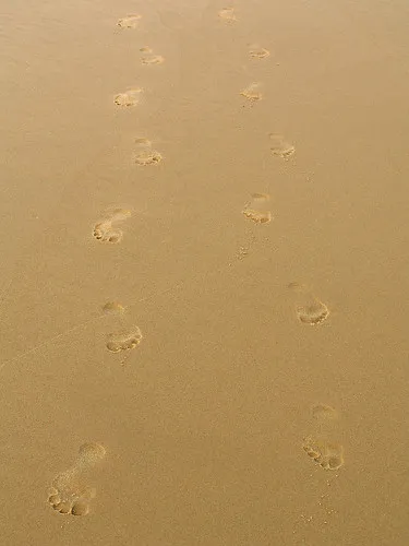 gunnai-beach-campground-ituj7