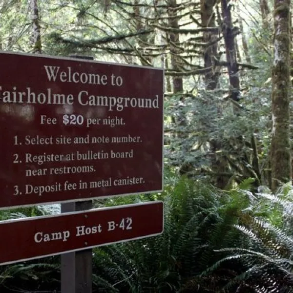 Fairholme Campground