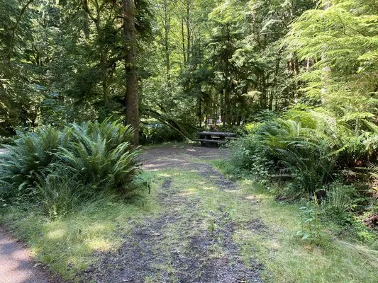 fairholme-campground-port-angeles-pz0xs
