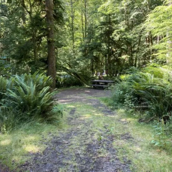 Fairholme Campground